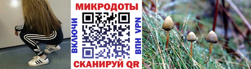 OMG ссылки  Старая Русса  Псилоцибиновые грибы Psilocybe 