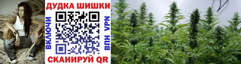 наркотики  Старая Русса  ссылка на мегу ТОР  Бошки марихуана ГИДРОПОН 